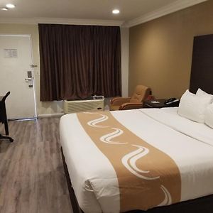 Standard Room 1 King Bed Non Smoking